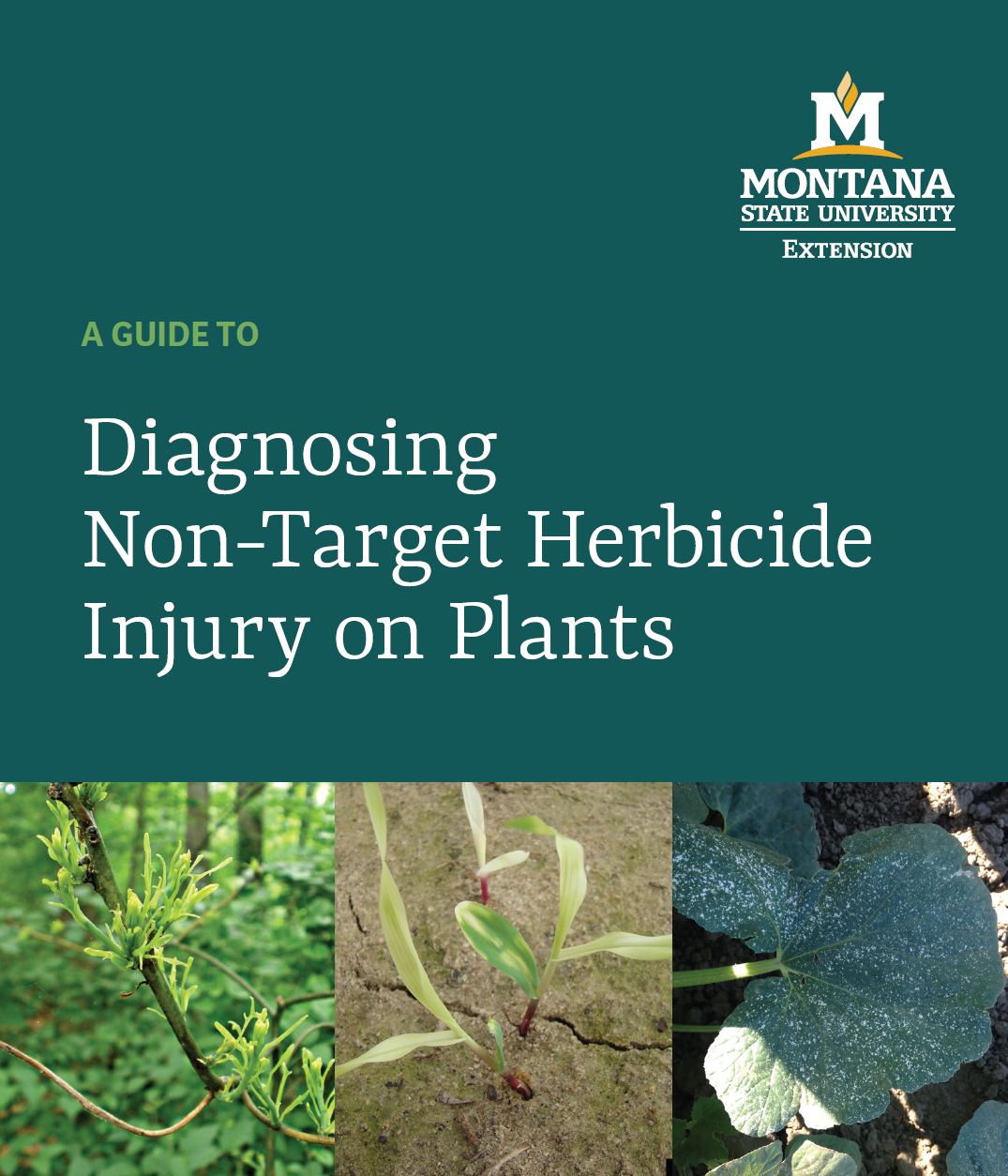 cover for the herbicide injury guide
