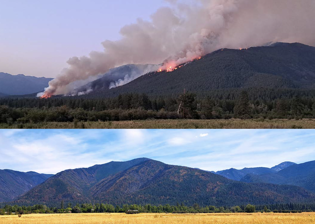 The top image shows a fire on a hillside and the bottom image shows the same hillside two months later, healthy.