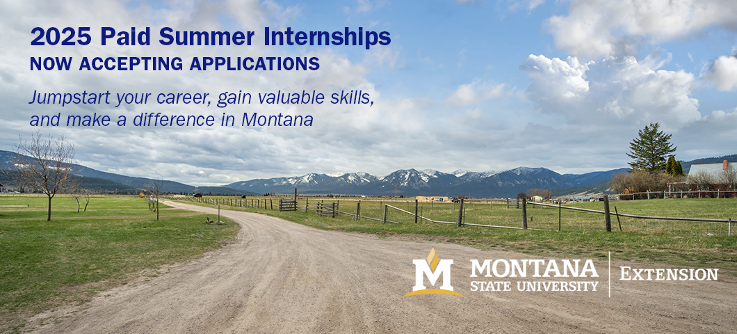 MSU Extension Summer Internships Now Available