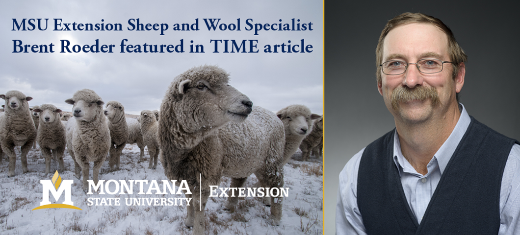 Link to article featuring Sheep & Wool Specialist, Brent Roeder.