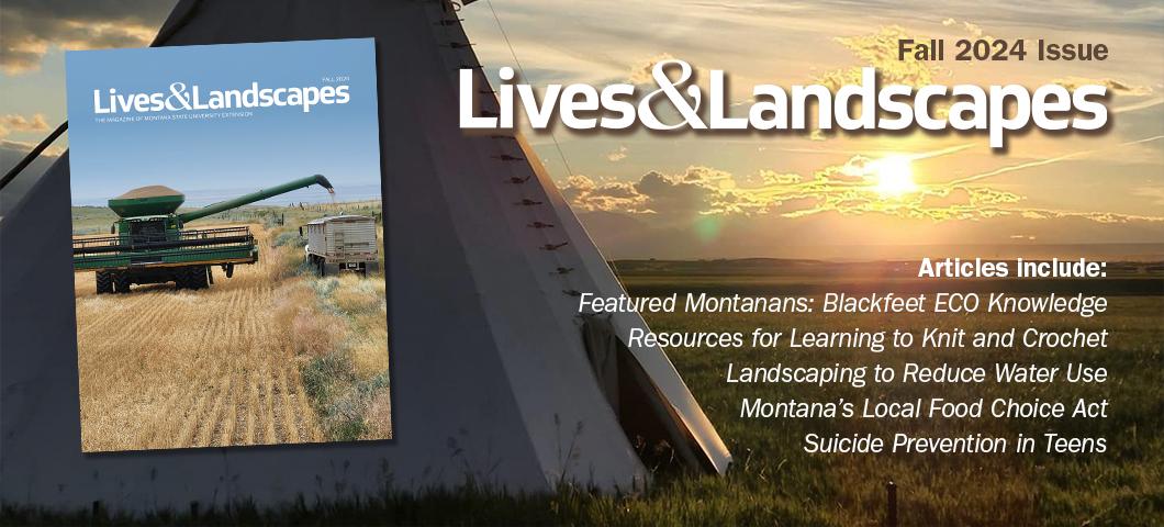 Lives & Landscapes Fall 2024 issue now available!