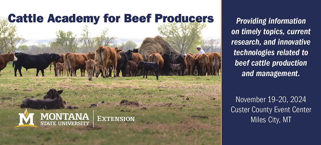 Don't miss Cattle Academy for Beef Producers in Miles City, MT.