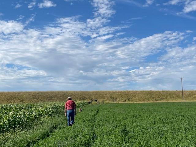 Montana Noxious Weed Seed Free Forage inspection site visit