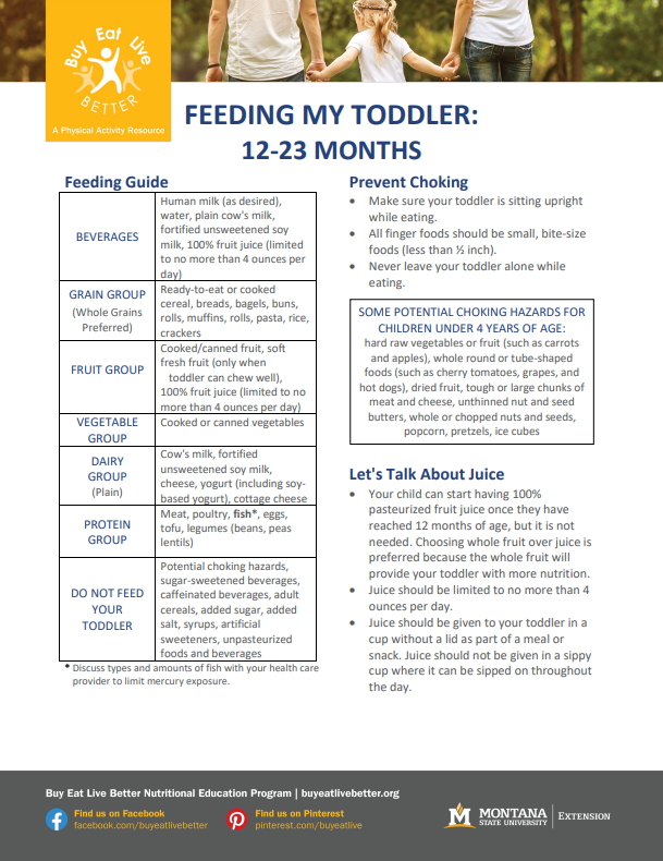 A snapshot of the Feeding Infants 12-23 Months factsheet.