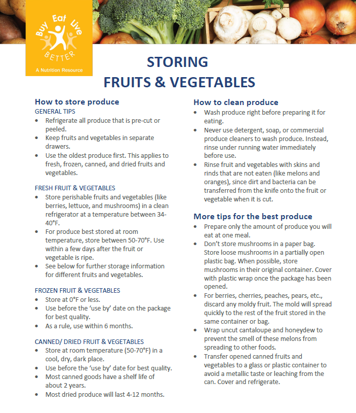A snapshot of the How Should I Store My Fruits and Vegetables factsheet printable PDF.