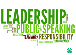 Word cloud, featuring "Leadership", "Public speaking", and "Responsibility"