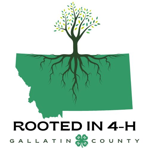 2023 Gallatin County Fairbook: 4-H & FFA Exhibitor Guide & Rules ...