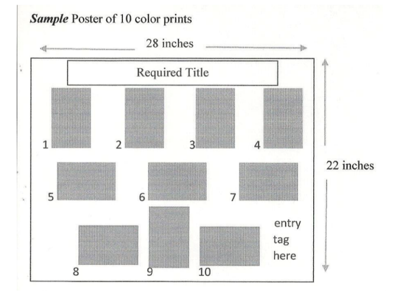 Diagram of how to display photos on photo board for fair