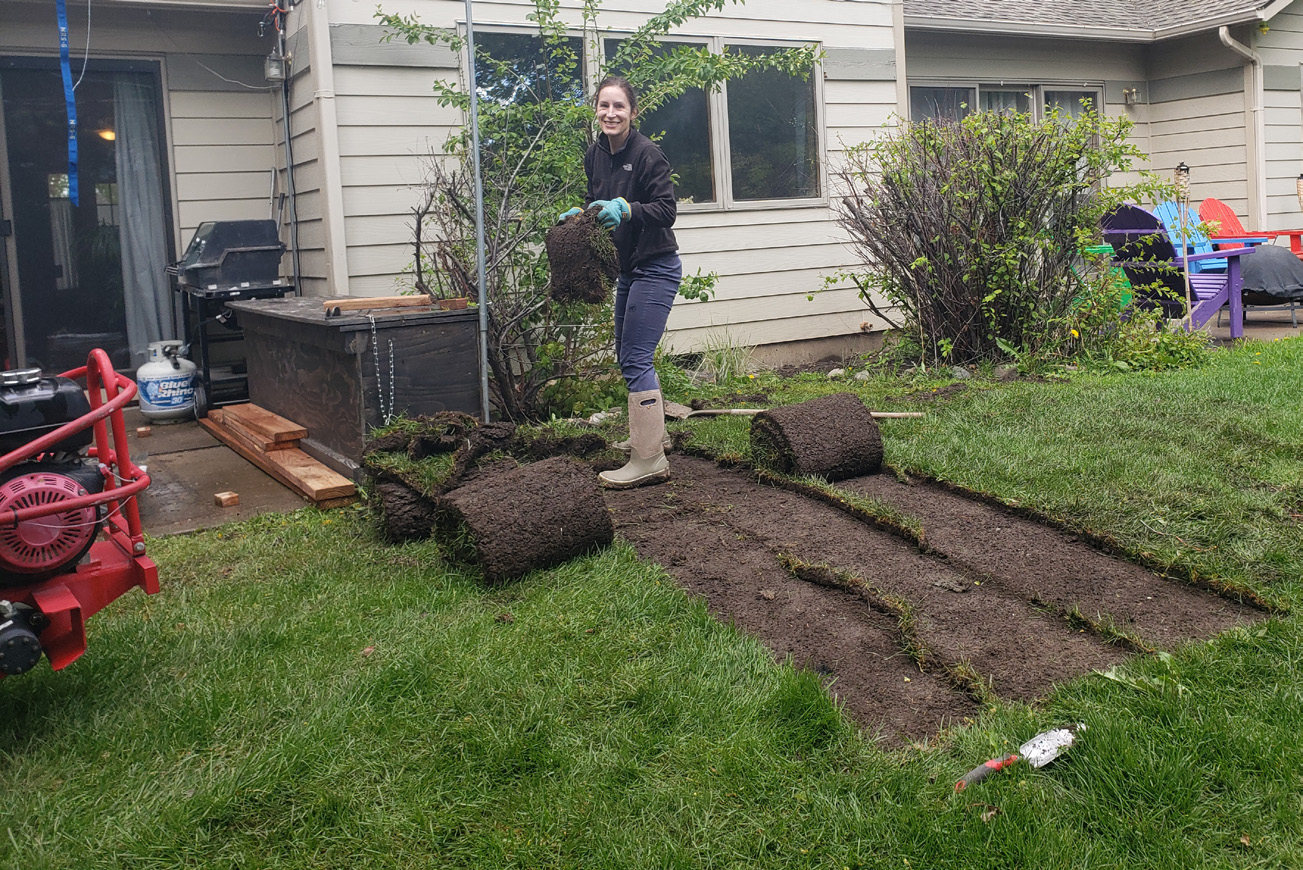 Woman neatly cutting out rows of grass and rolling it  up.