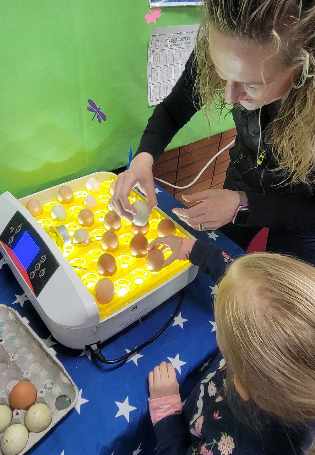 little girl and adult interacting with egg incubator.