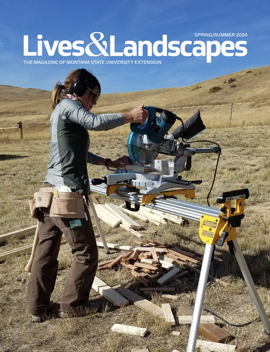 Woman cutting wood with a circular carpentry saw in a field of dead grass. Text at the top reads: Spring/Summer 2024 Lives & Landscapes the magazine of Montana State University Extension