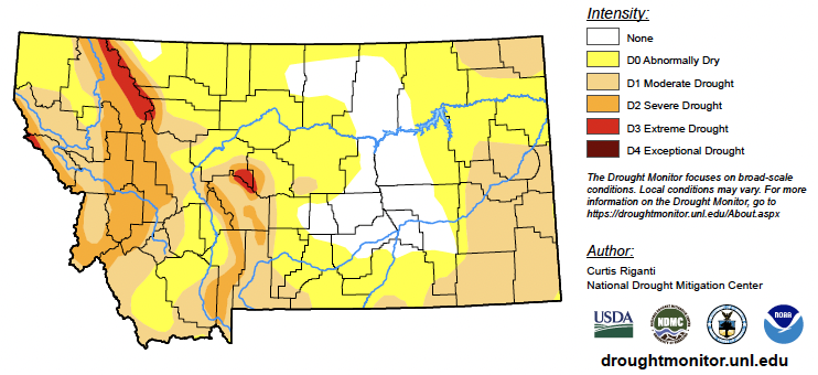 A map of Montana showing the intensity of drought all over the state. The most extreme is in the northwestern part of the state and the least intense is in the east central portion of the state.