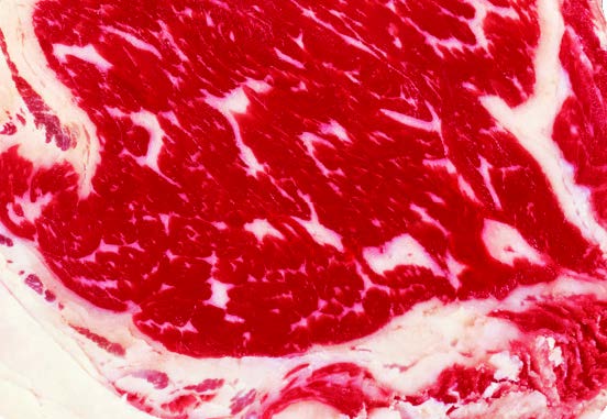 A raw slab of prime beef with white marbling throughout.