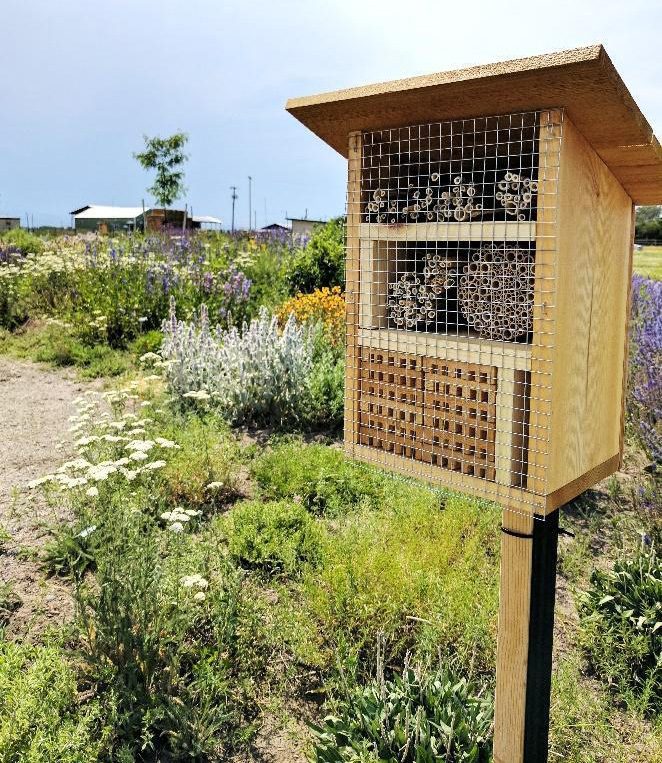 bee nest box at the Pollinator Garden filled with a mix of wood blocks and drilled holes.