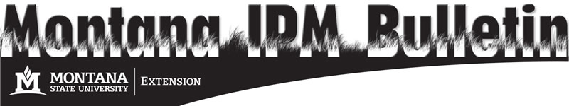Montana IPM Bulletin banner