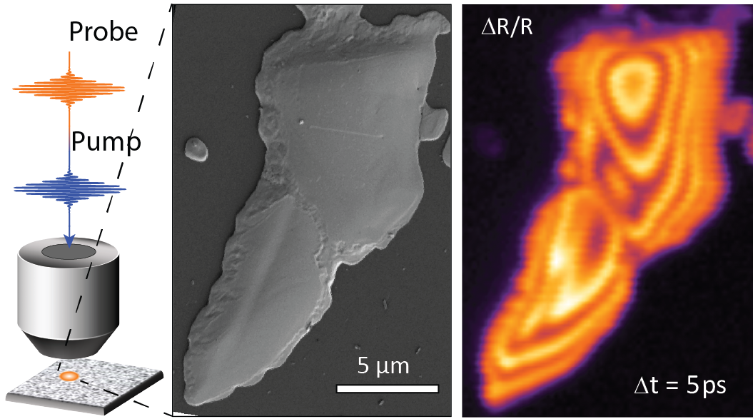 illustration of pump probe microscopy