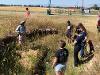 Dirt is fun! MSU Hilleman Scholars learn from Dr. Tony Hartshorn, Associate Professor in the College of Land Resources & Environmental Sciences.