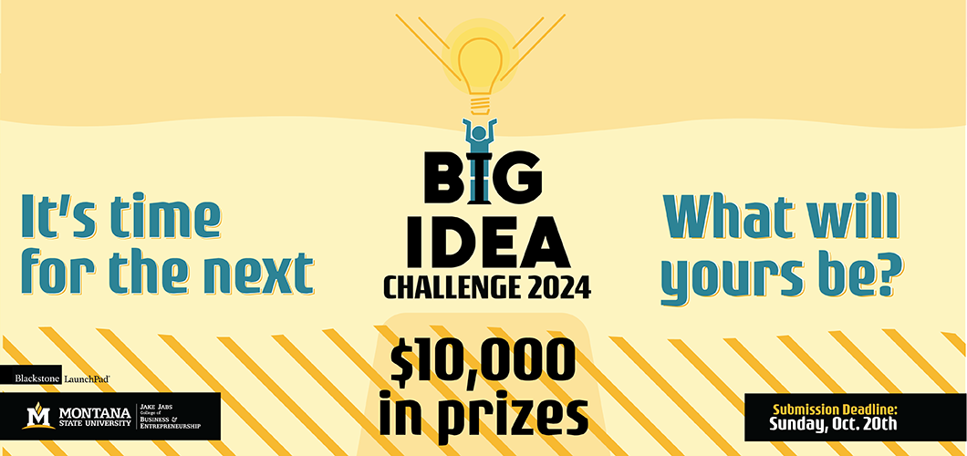 Big Idea Challenge 2024