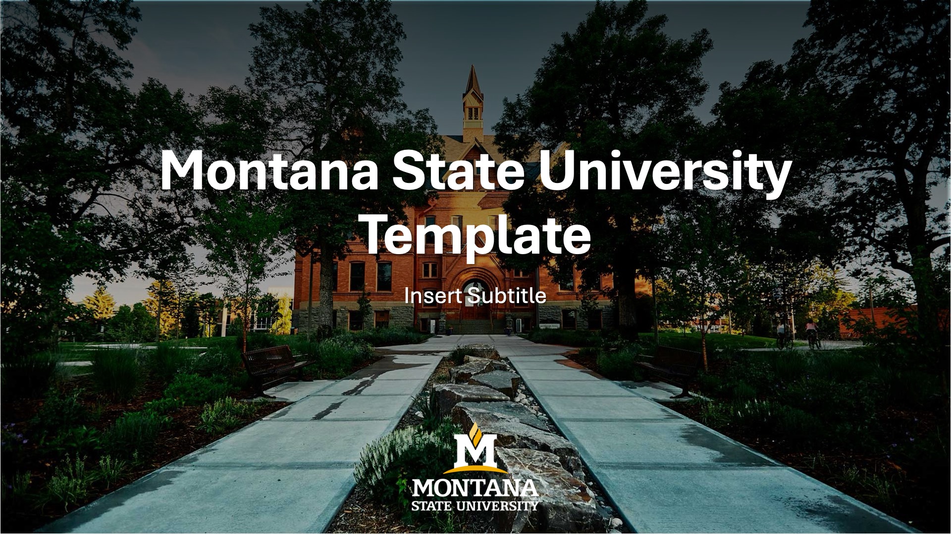 MSU PowerPoint template