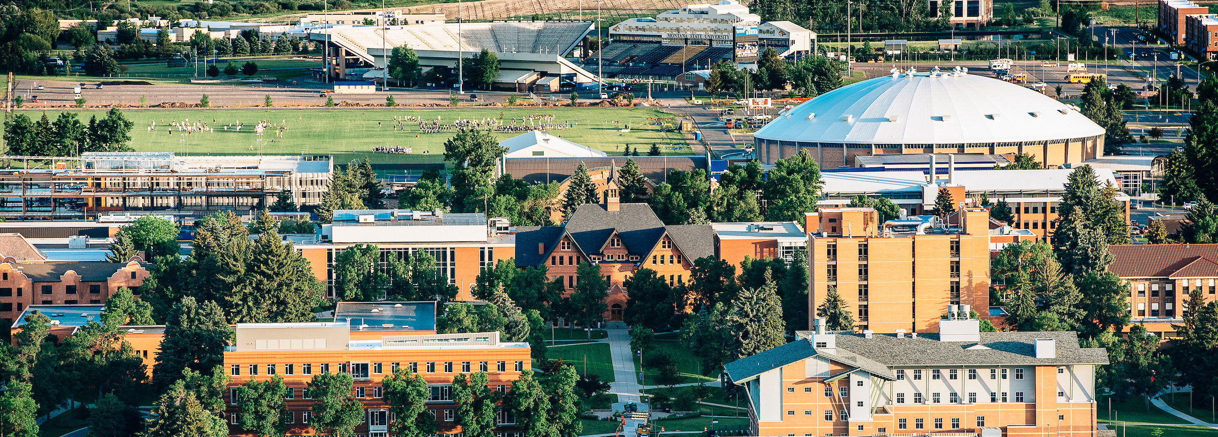 Montana State University History - Marketing | Montana State University