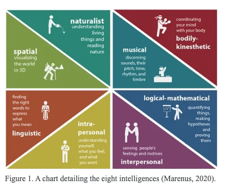 A chart detailing Howard Gardner's eight intelligences. Naturalist, musical, bodily/kinesthetic, logical/mathematical, interpersonal, intrapersonal, linguistic, and spatial.