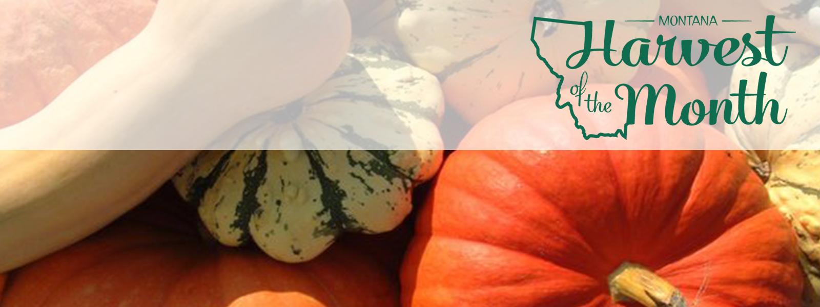 This month's Harvest of the Month food is Winter Squash