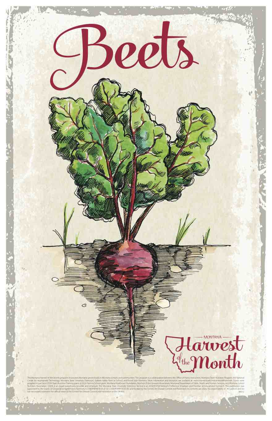 beet poster