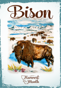 Bison poster thumbnail