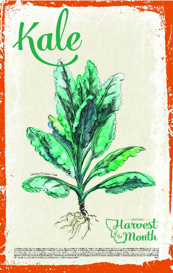 kale poster