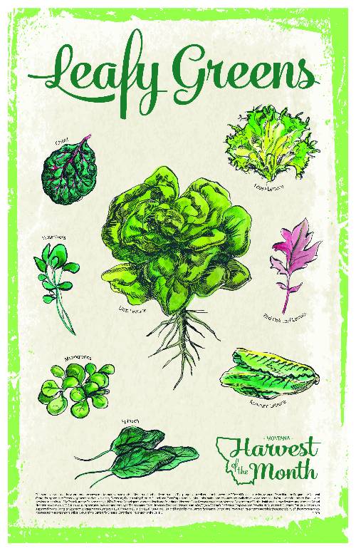 leafy green poster