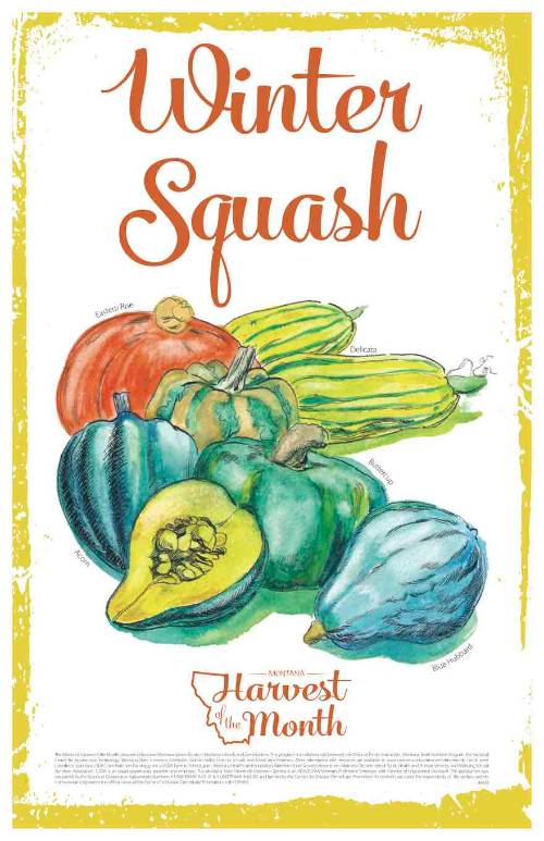 summer squash poster