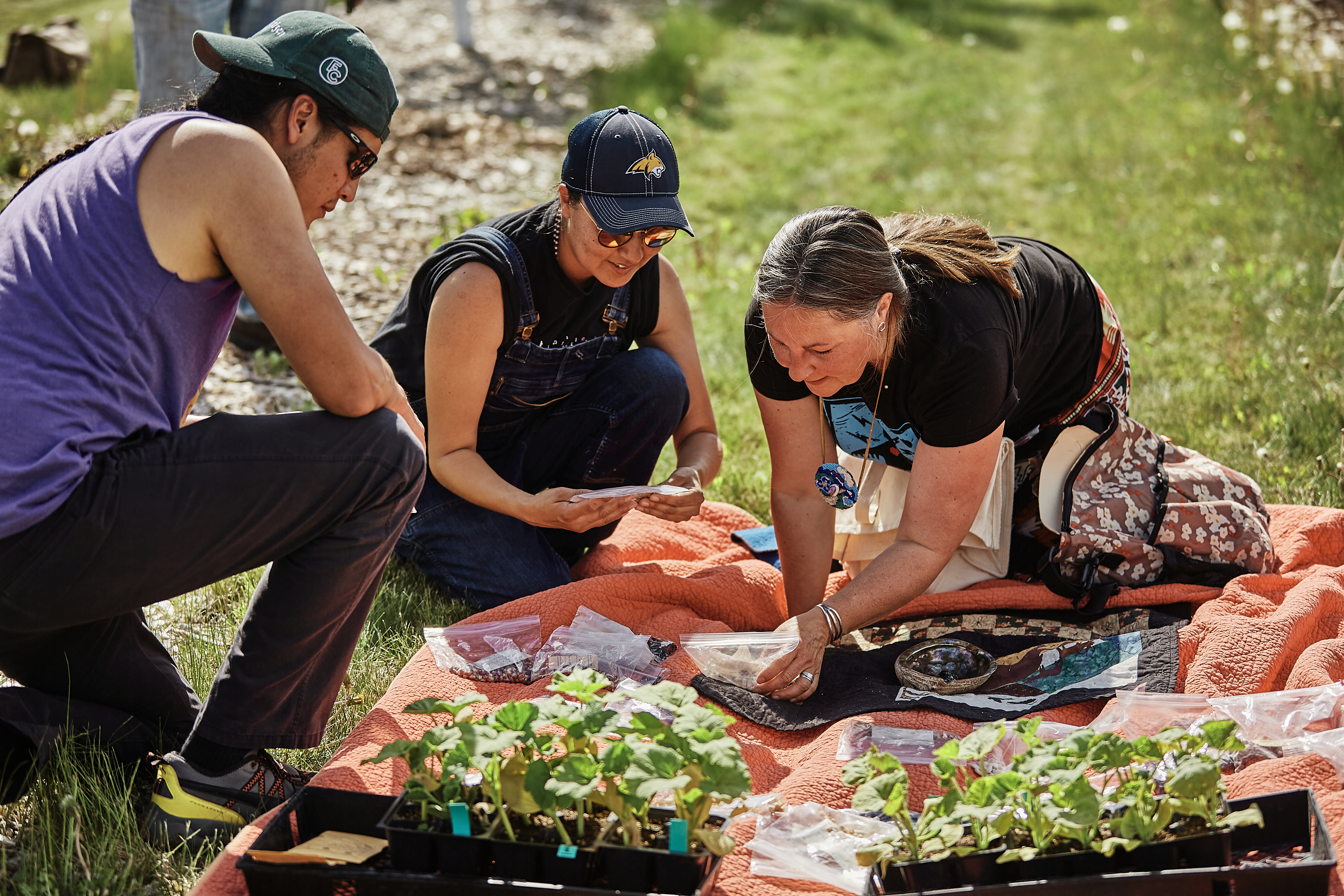 Students and instructor kneel down to study seeds