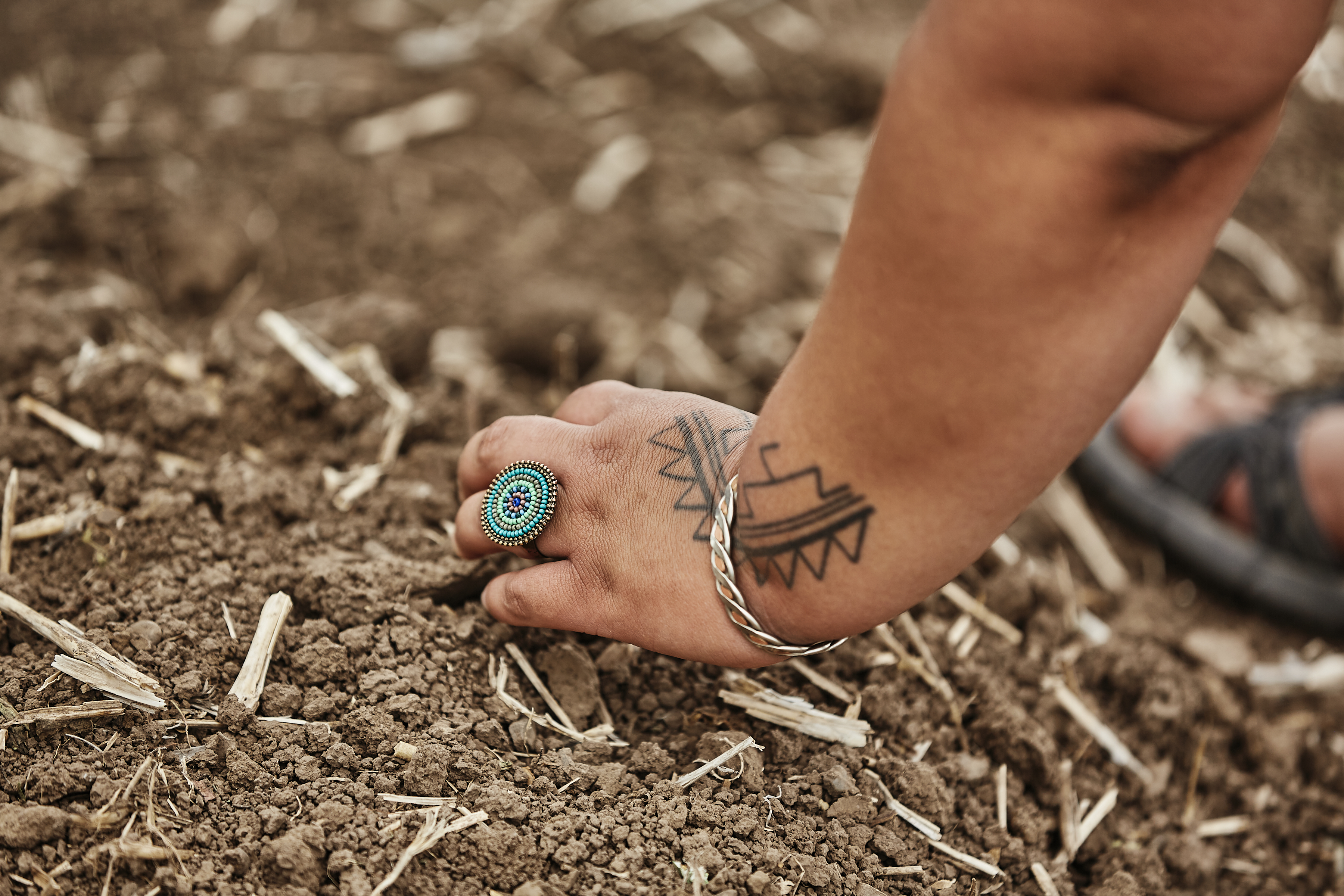 Buffalo Nations fellow plants a seed