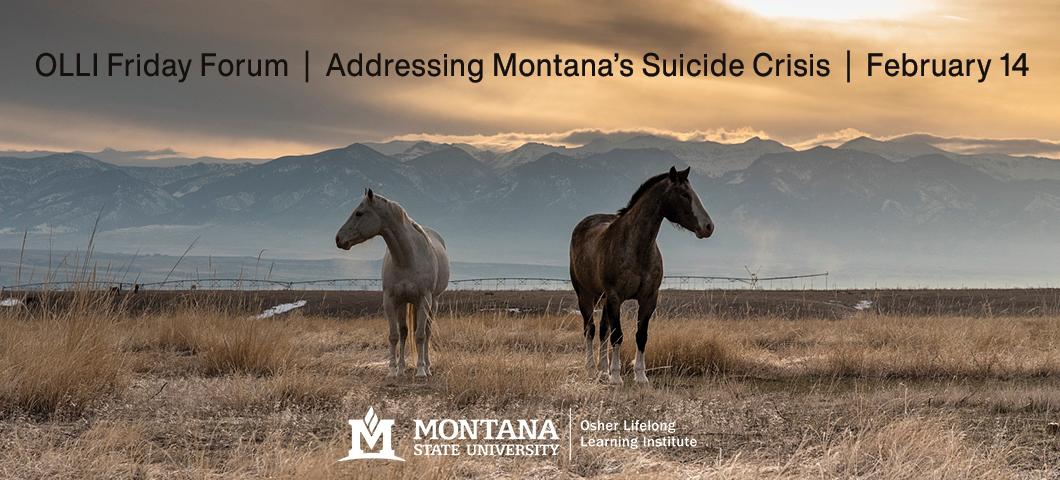 OLLI Friday Forum  |  Addressing Montana’s Suicide Crisis  |  February 14