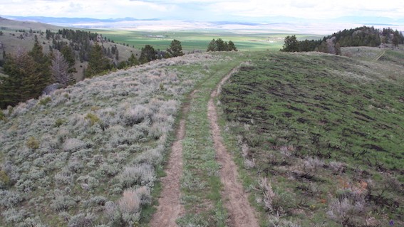 Prescribed burn and unburned rangeland  
