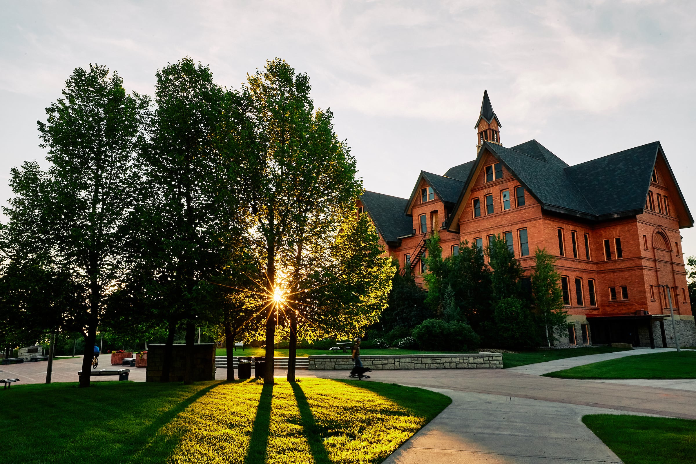 The image shows a serene summer evening on the Montana State University campus. The iconic red-brick building of Montana Hall stands tall on the right, with its steep roof and clock tower. In the foreground, the sun is setting behind a row of trees, casting long shadows on the lush green lawn.