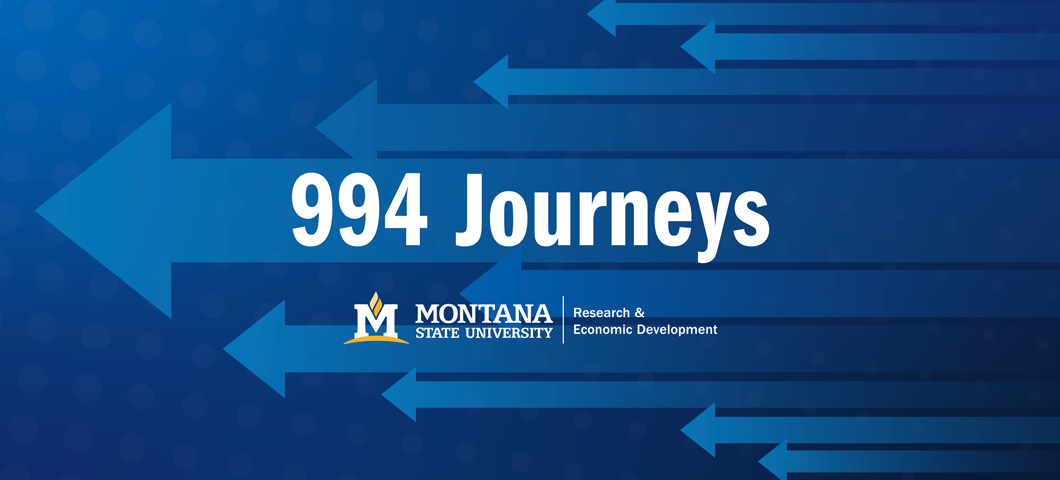 blue arrows, 994 Journeys, RED logo