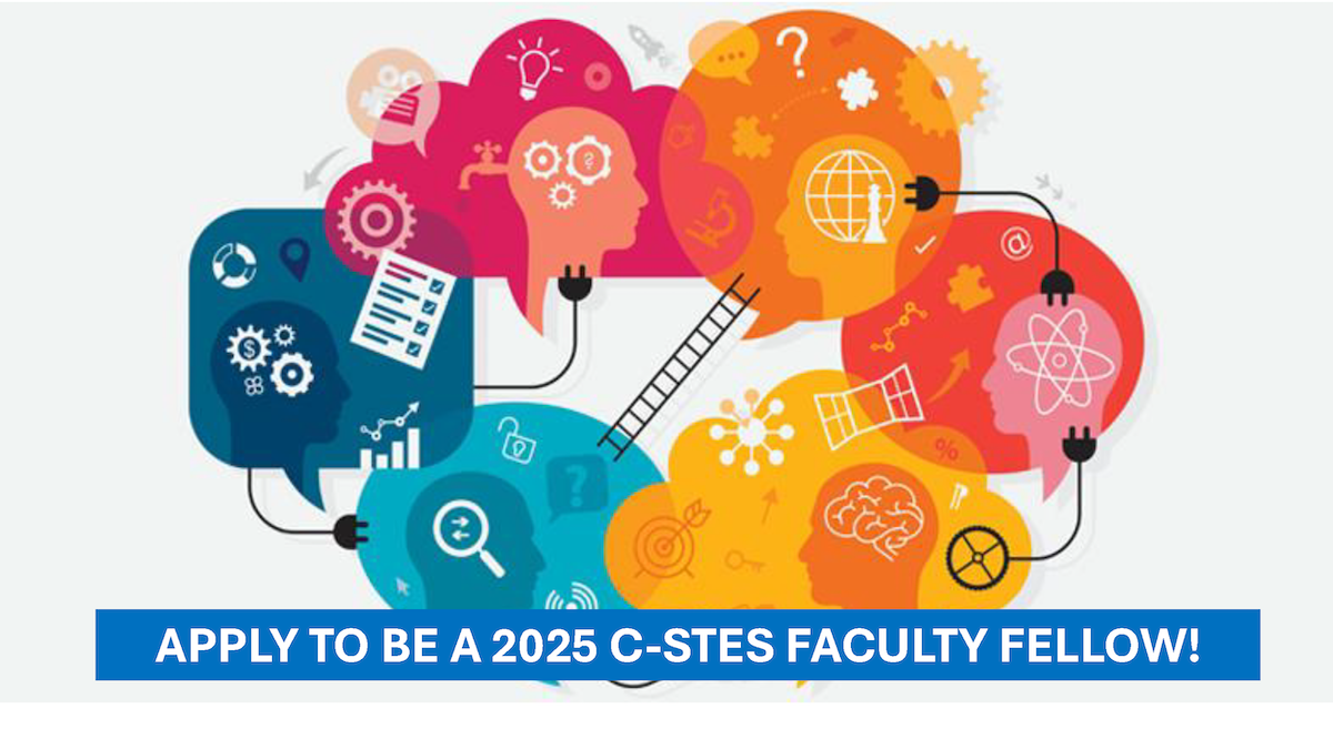 C-STES Faculty Fellow Application