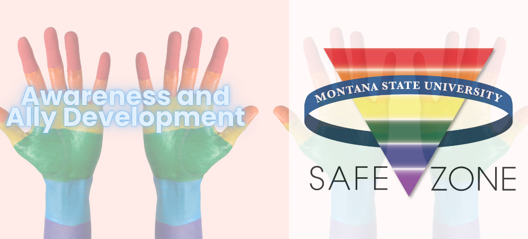 Safe zone workshops