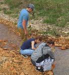 Students in a stream collecting water in bottles.