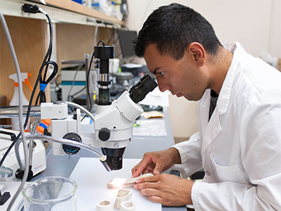 A student looking into a microscope in a lab