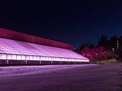 Fourth-generation LED lights in the Plant Growth Center’s greenhouses