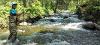 woman wading in stream