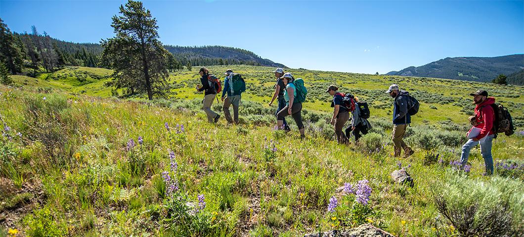 Students following a professor through a field